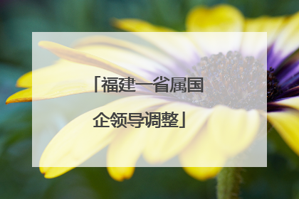 福建一省属国企领导调整