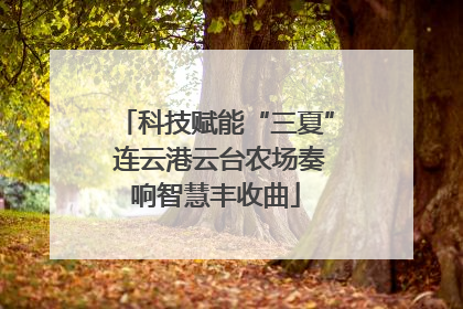 科技赋能“三夏” 连云港云台农场奏响智慧丰收曲