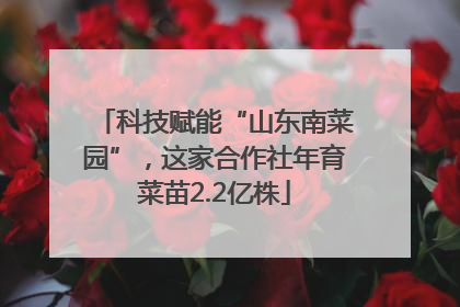 科技赋能“山东南菜园”，这家合作社年育菜苗2.2亿株