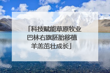科技赋能草原牧业 巴林右旗胚胎移植羊羔茁壮成长