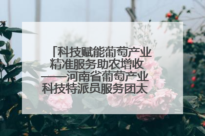 科技赋能葡萄产业 精准服务助农增收——河南省葡萄产业科技特派员服务团太康县科技服务纪实