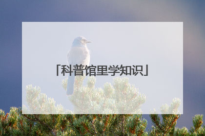 科普馆里学知识
