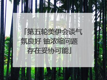 第五轮美伊会谈气氛良好 铀浓缩问题存在妥协可能