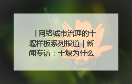 网络城市治理的十堰样板系列报道｜新闻专访：十堰为什么成为“黑马型”城市治理网络维度典型