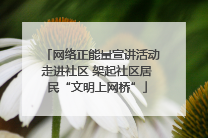 网络正能量宣讲活动走进社区 架起社区居民“文明上网桥”