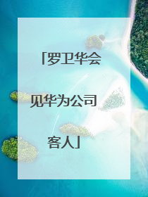罗卫华会见华为公司客人