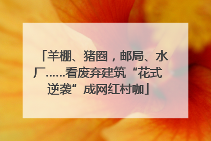 羊棚、猪圈，邮局、水厂……看废弃建筑“花式逆袭”成网红村咖