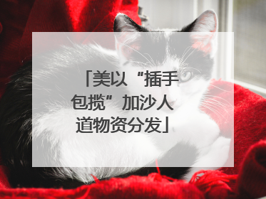 美以“插手包揽”加沙人道物资分发