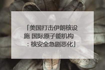 美国打击伊朗核设施 国际原子能机构：核安全急剧恶化