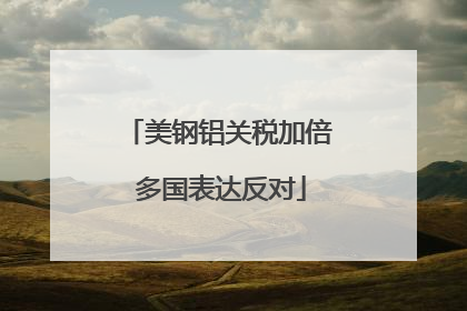 美钢铝关税加倍 多国表达反对
