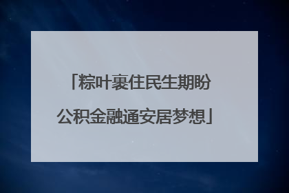 粽叶裹住民生期盼 公积金融通安居梦想