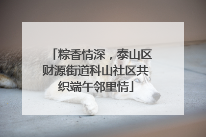 粽香情深，泰山区财源街道科山社区共织端午邻里情