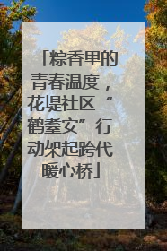 粽香里的青春温度，花堤社区“鹤耋安”行动架起跨代暖心桥