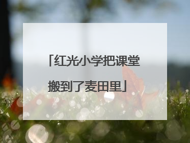 红光小学把课堂搬到了麦田里