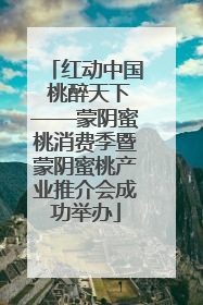 红动中国 桃醉天下——蒙阴蜜桃消费季暨蒙阴蜜桃产业推介会成功举办