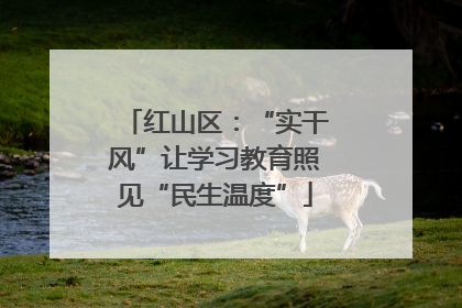红山区：“实干风”让学习教育照见“民生温度”