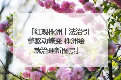 红观株洲丨法治引擎驱动蝶变 株洲绘就治理新图景