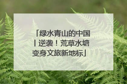 绿水青山的中国丨逆袭！荒草水塘变身文旅新地标