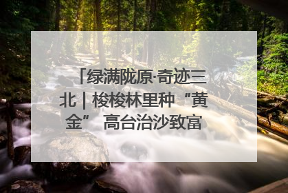 绿满陇原·奇迹三北｜梭梭林里种“黄金” 高台治沙致富很“从容”