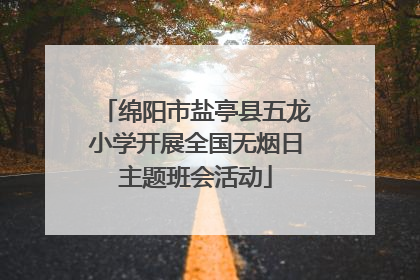 绵阳市盐亭县五龙小学开展全国无烟日主题班会活动