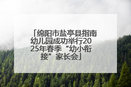 绵阳市盐亭县指南幼儿园成功举行2025年春季“幼小衔接”家长会