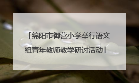 绵阳市御营小学举行语文组青年教师教学研讨活动