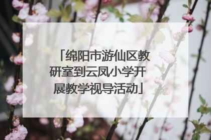 绵阳市游仙区教研室到云凤小学开展教学视导活动