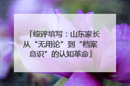 综评填写：山东家长从“无用论”到“档案意识”的认知革命