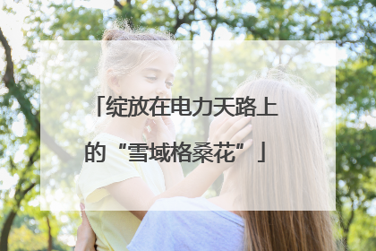 绽放在电力天路上的“雪域格桑花”