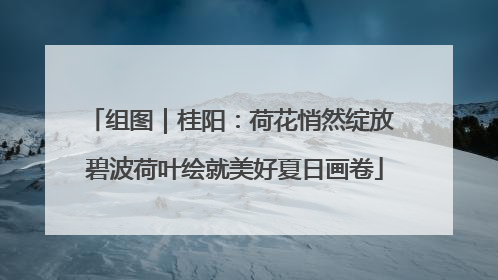 组图｜桂阳：荷花悄然绽放 碧波荷叶绘就美好夏日画卷