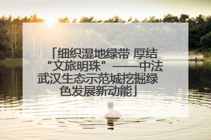 细织湿地绿带 厚结“文旅明珠”——中法武汉生态示范城挖掘绿色发展新动能