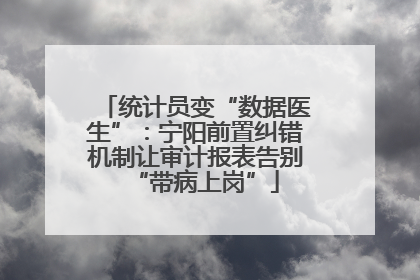 统计员变“数据医生”：宁阳前置纠错机制让审计报表告别“带病上岗”