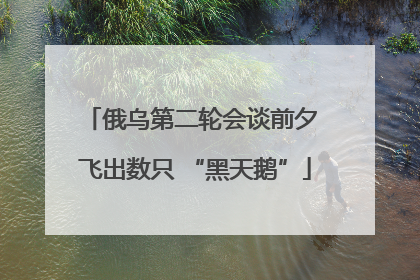 俄乌第二轮会谈前夕 飞出数只 “黑天鹅”