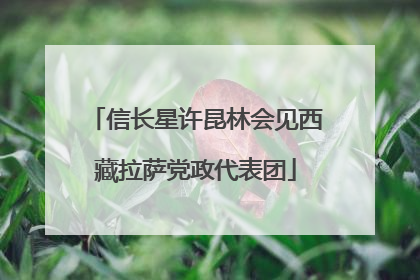 信长星许昆林会见西藏拉萨党政代表团