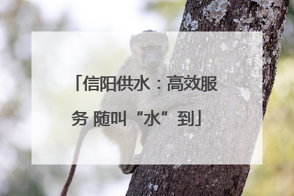 信阳供水：高效服务 随叫“水”到