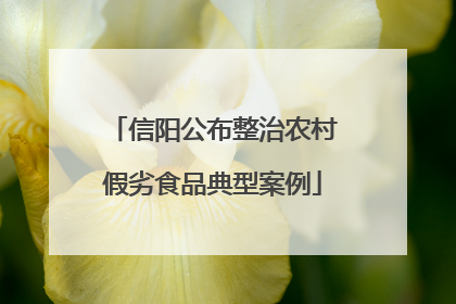信阳公布整治农村假劣食品典型案例