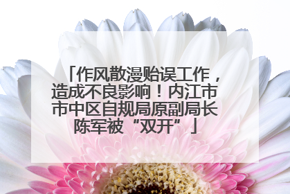 作风散漫贻误工作，造成不良影响！内江市市中区自规局原副局长陈军被“双开”