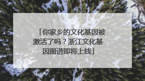 你家乡的文化基因被激活了吗？浙江文化基因图谱即将上线