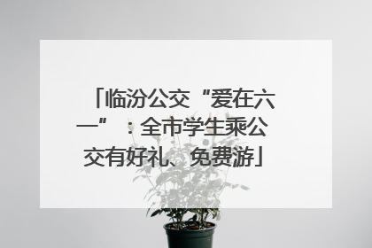 临汾公交“爱在六一”：全市学生乘公交有好礼、免费游