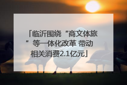 临沂围绕“商文体旅”等一体化改革 带动相关消费2.1亿元