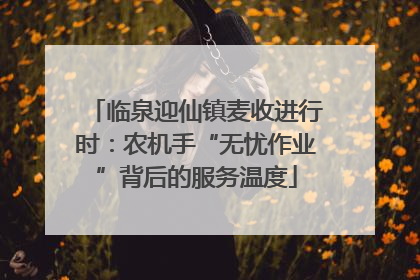 临泉迎仙镇麦收进行时：农机手“无忧作业”背后的服务温度