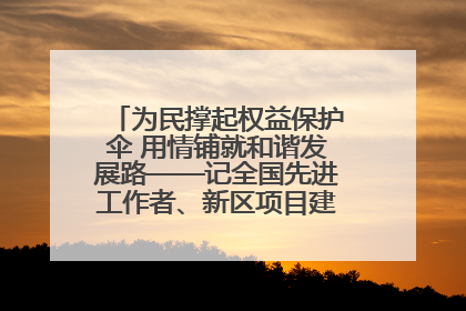 为民撑起权益保护伞 用情铺就和谐发展路——记全国先进工作者、新区项目建设中心干部卢小勇