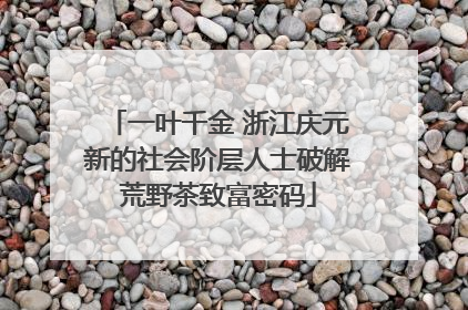 一叶千金 浙江庆元新的社会阶层人士破解荒野茶致富密码