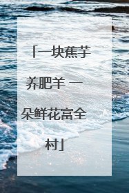 一块蕉芋养肥羊 一朵鲜花富全村
