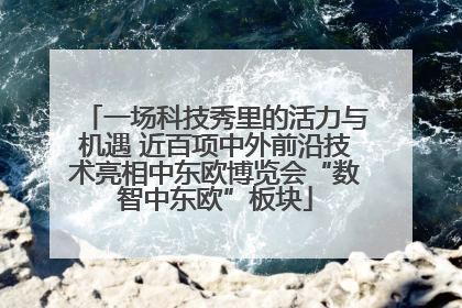 一场科技秀里的活力与机遇 近百项中外前沿技术亮相中东欧博览会“数智中东欧”板块