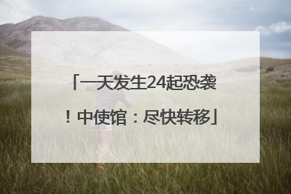 一天发生24起恐袭！中使馆：尽快转移