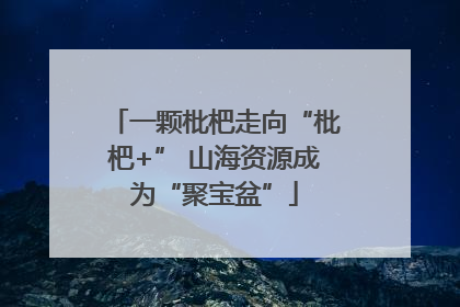 一颗枇杷走向“枇杷+” 山海资源成为“聚宝盆”