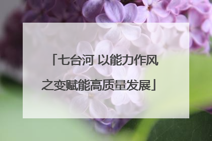 七台河 以能力作风之变赋能高质量发展