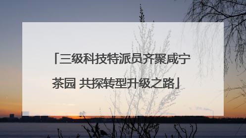 三级科技特派员齐聚咸宁茶园 共探转型升级之路