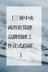 三亚中央商务区党建品牌创建工作正式启动